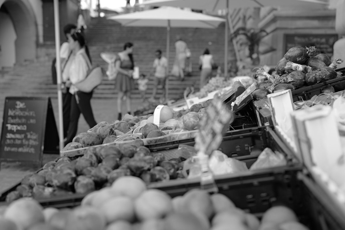 #WorldPhotographyDay2025
Bilder ohne Kommentar.