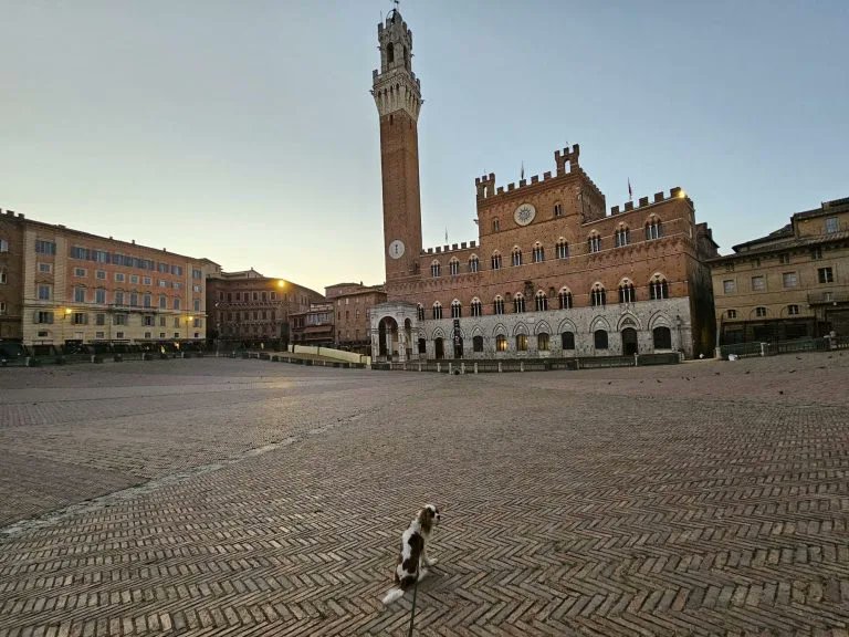 RJonTourUK tweet media