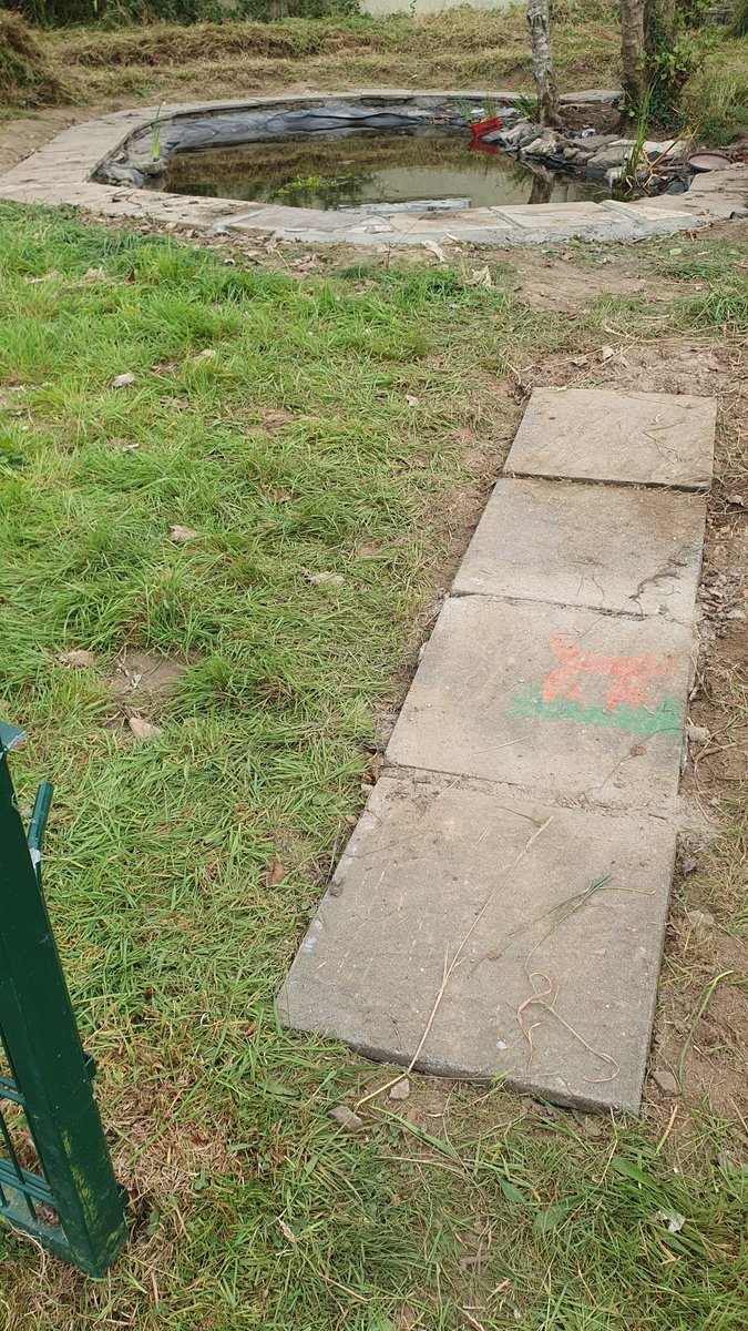 Thanks to the second group of volunteers who came in to concrete slabs around the pond and tidy up the area. Special thanks to everyone who has helped through the year - the area looks excellent and will be a fantastic resource to the school for years to come.