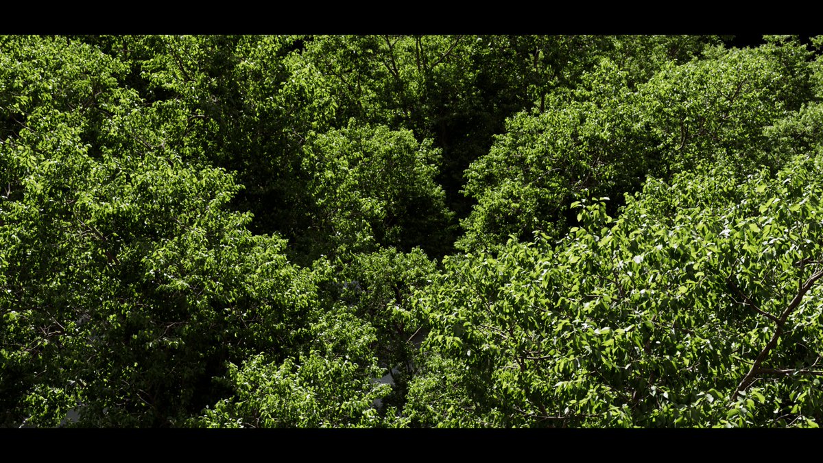 Marcos López-García tweet media