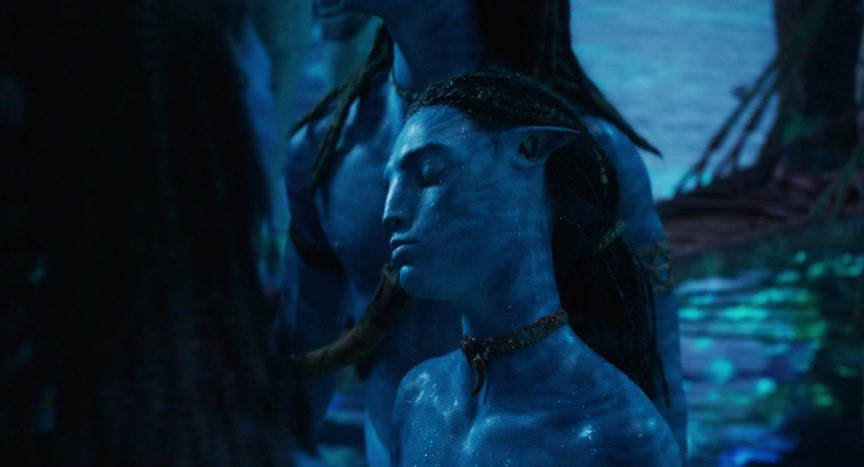 how many times has she said this