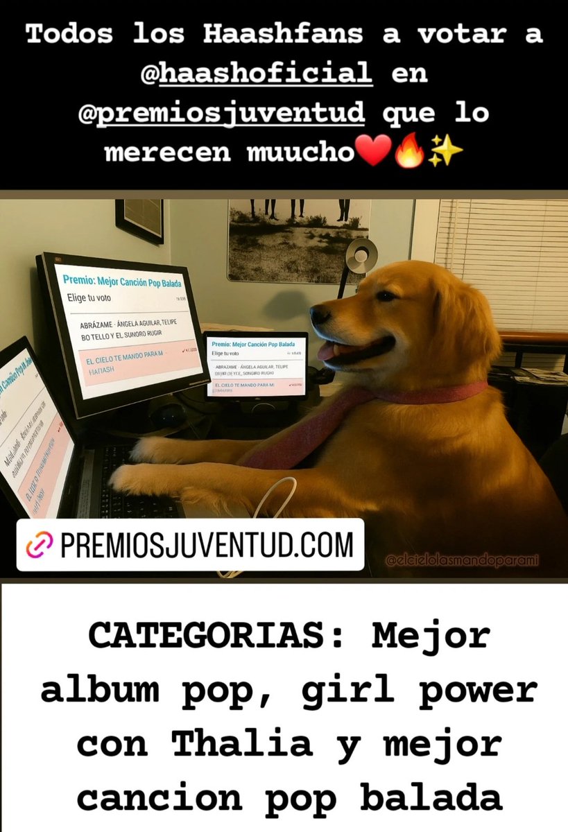 Ha Ash 🇦🇷 El cielo las mando para mi 💕 tweet media