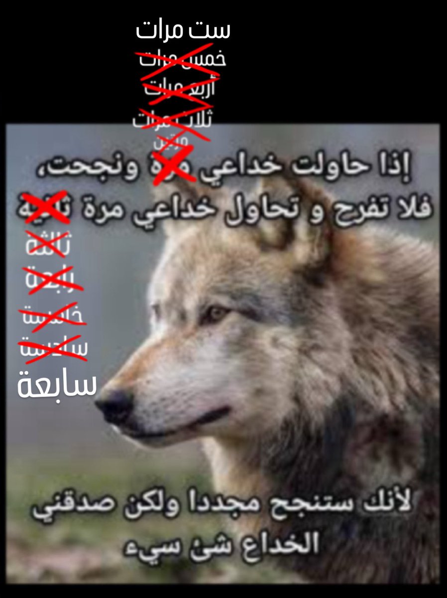 فانز هنتر بشكل عام