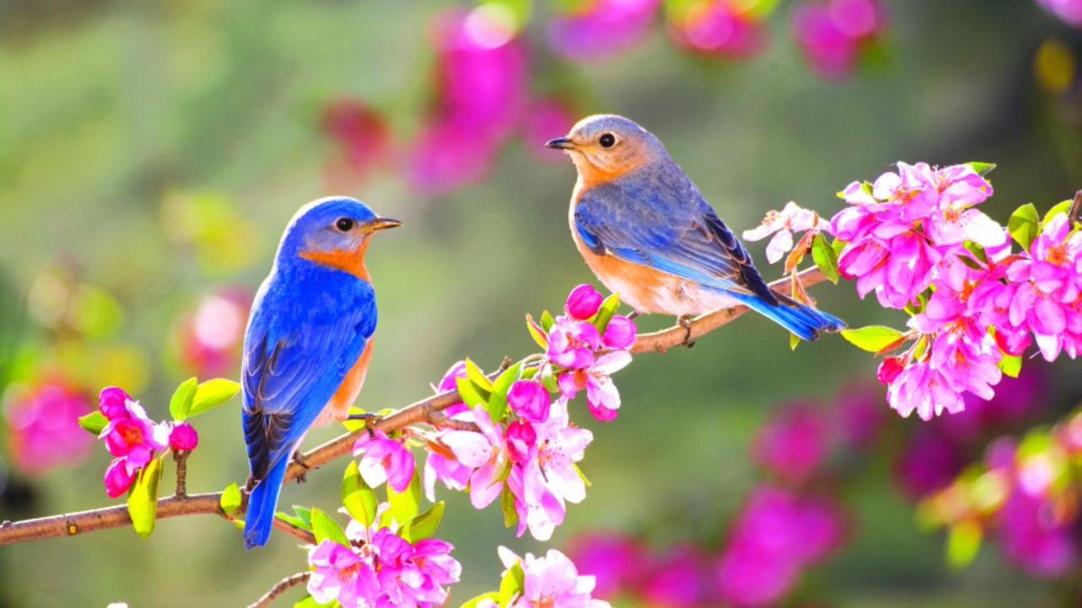M_H® (@m__h_j) on Twitter photo <a href="/_Rai777/">MohsinRai</a> <a href="/abu_389/">زاہد گوجر</a> <a href="/786AH_/">⭐⃟🫧AFsheen Mavi⭐⃟🫧</a> <a href="/ks__600/">❤️♥️❤️🧡آرٹی اکاؤنٹ🧡♥️❤️</a> <a href="/c41424/">عِکراش</a> <a href="/Kom_6K/">کومل_ناز</a> <a href="/Est55Hcc/">bajwa</a> <a href="/diya7760/">Diya Malick</a> <a href="/Sufia__J/">Sᴜғɪᴀ Bᴜᴋʜᴀʀɪ🍁</a> <a href="/Sammy_5S/">🦋Sammy🦋✨💫</a> <a href="/dokota188/">زاہد گجر</a> #خاتم_النبیین_محمدﷺّ
💜👑
⓵|<a href="/Fragran_ce/">خوشبو</a>
🐣💜
⓶|<a href="/NighatYZ/">Nighat Yousafzay</a>
🐣💜
⓷|<a href="/Hamra__zz/">Naheed</a>
🐣💜
⓸|<a href="/Sammy_5S/">🦋Sammy🦋✨💫</a>
🐣💜
⓹|@Paroooo786
🐣 💜
⓺|<a href="/A_gee_o_gee/">🦋🫶☕۔۔@☕🫶🦋</a>
🐣 💜
⓻|<a href="/Laiba_888/">༺☆Ⱡα𝘪𝕓α☆༻</a>
🐣💜
⓼| <a href="/KQfakhar2/">🇵🇰ᵀᵉᵃᵐˢᵒᵏبگڑا نواب 🇵🇰</a>
🐣💜
⓽|<a href="/Bella512302/">Bella♥️💫 ᵀᵉᵃᵐˢᵒᵏ</a>
🐣💜
⓾|<a href="/SaiforaSadaf/">Saifora Sadaf</a>
<a href="/Z__Rajj/">ℝ𝕒𝕛𝕡𝕦𝕥.🌹زیـنـــــــب🇵🇰</a> <a href="/Warrior_back_/">The Fighter💚💫</a> 💜
💜👑<a href="/syedaalishahh/">aali'shah Syed</a> <a href="/_Rai777/">MohsinRai</a> <a href="/abu_389/">زاہد گوجر</a> <a href="/786AH_/">⭐⃟🫧AFsheen Mavi⭐⃟🫧</a> <a href="/ks__600/">❤️♥️❤️🧡آرٹی اکاؤنٹ🧡♥️❤️</a> <a href="/c41424/">عِکراش</a> <a href="/Kom_6K/">کومل_ناز</a> <a href="/Est55Hcc/">bajwa</a> <a href="/diya7760/">Diya Malick</a> <a href="/Sufia__J/">Sᴜғɪᴀ Bᴜᴋʜᴀʀɪ🍁</a> <a href="/Sammy_5S/">🦋Sammy🦋✨💫</a> <a href="/dokota188/">زاہد گجر</a> #خاتم_النبیین_محمدﷺّ
💜👑
⓵|<a href="/Fragran_ce/">خوشبو</a>
🐣💜
⓶|<a href="/NighatYZ/">Nighat Yousafzay</a>
🐣💜
⓷|<a href="/Hamra__zz/">Naheed</a>
🐣💜
⓸|<a href="/Sammy_5S/">🦋Sammy🦋✨💫</a>
🐣💜
⓹|@Paroooo786
🐣 💜
⓺|<a href="/A_gee_o_gee/">🦋🫶☕۔۔@☕🫶🦋</a>
🐣 💜
⓻|<a href="/Laiba_888/">༺☆Ⱡα𝘪𝕓α☆༻</a>
🐣💜
⓼| <a href="/KQfakhar2/">🇵🇰ᵀᵉᵃᵐˢᵒᵏبگڑا نواب 🇵🇰</a>
🐣💜
⓽|<a href="/Bella512302/">Bella♥️💫 ᵀᵉᵃᵐˢᵒᵏ</a>
🐣💜
⓾|<a href="/SaiforaSadaf/">Saifora Sadaf</a>
<a href="/Z__Rajj/">ℝ𝕒𝕛𝕡𝕦𝕥.🌹زیـنـــــــب🇵🇰</a> <a href="/Warrior_back_/">The Fighter💚💫</a> 💜
💜👑<a href="/syedaalishahh/">aali'shah Syed</a>