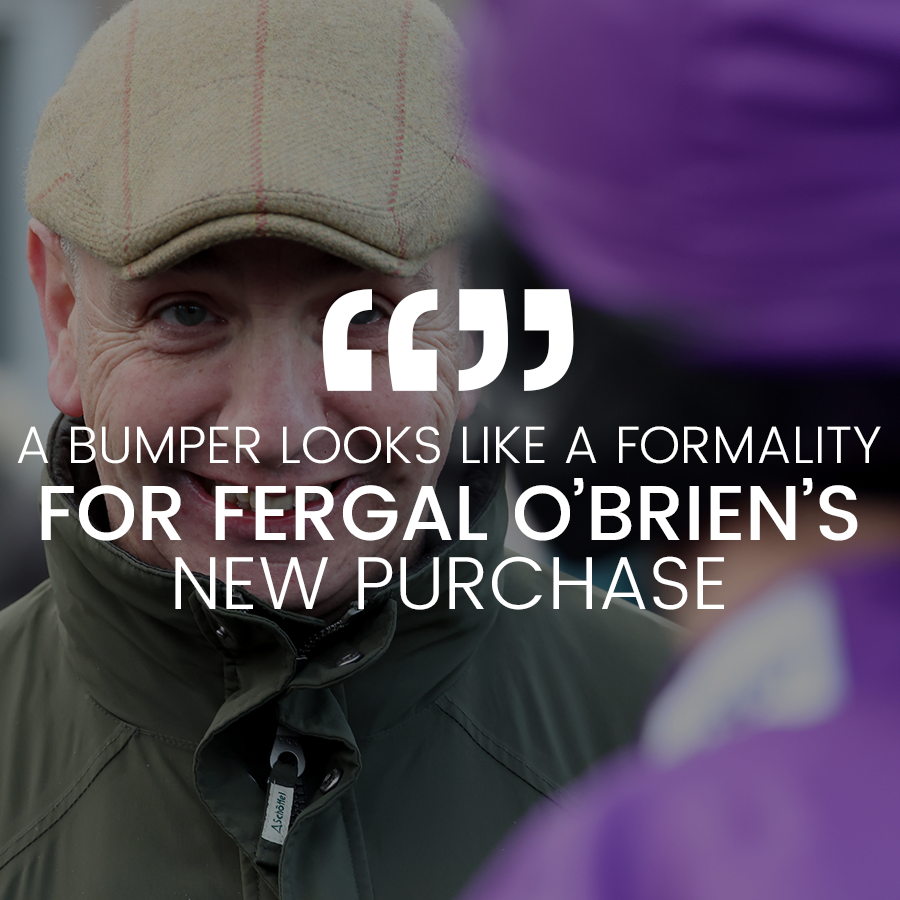 bettrends tweet media