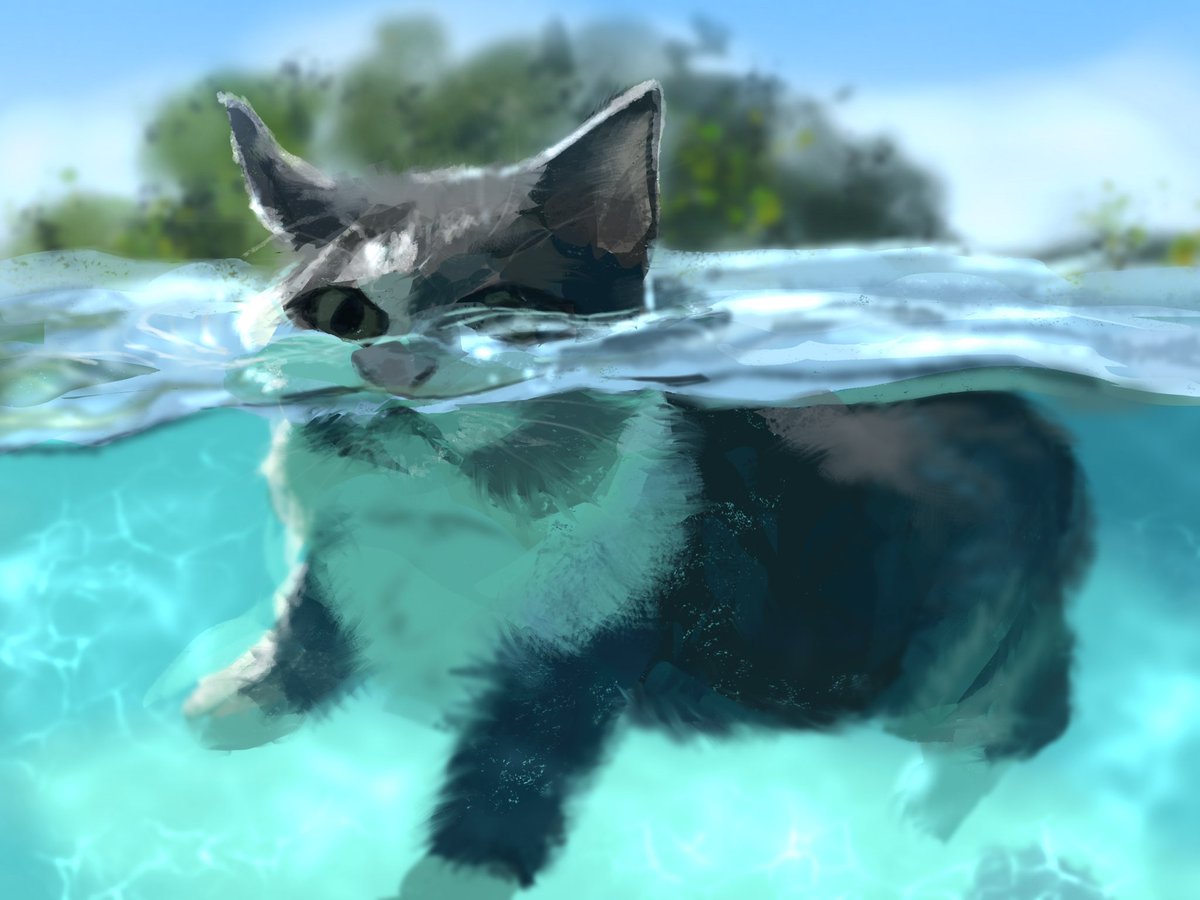 Thank you <a href="/HuemansUniverse/">Huemans of the Universe</a> for collecting an edition of Splish Splash 

🥳