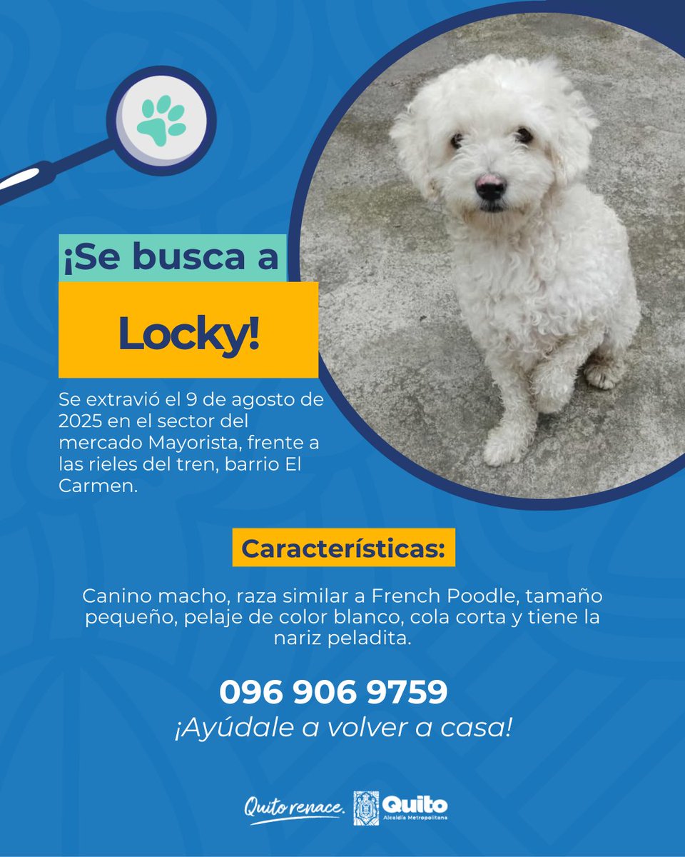 UBAQuito's tweet photo. 📣 #AlertaMePerdí | Tu ayuda puede marcar la diferencia. ¡Únete a la búsqueda y comparte! Juntos podemos darles un final feliz 🏡

#QuitoRenace https://t.co/WXTnSgweCo