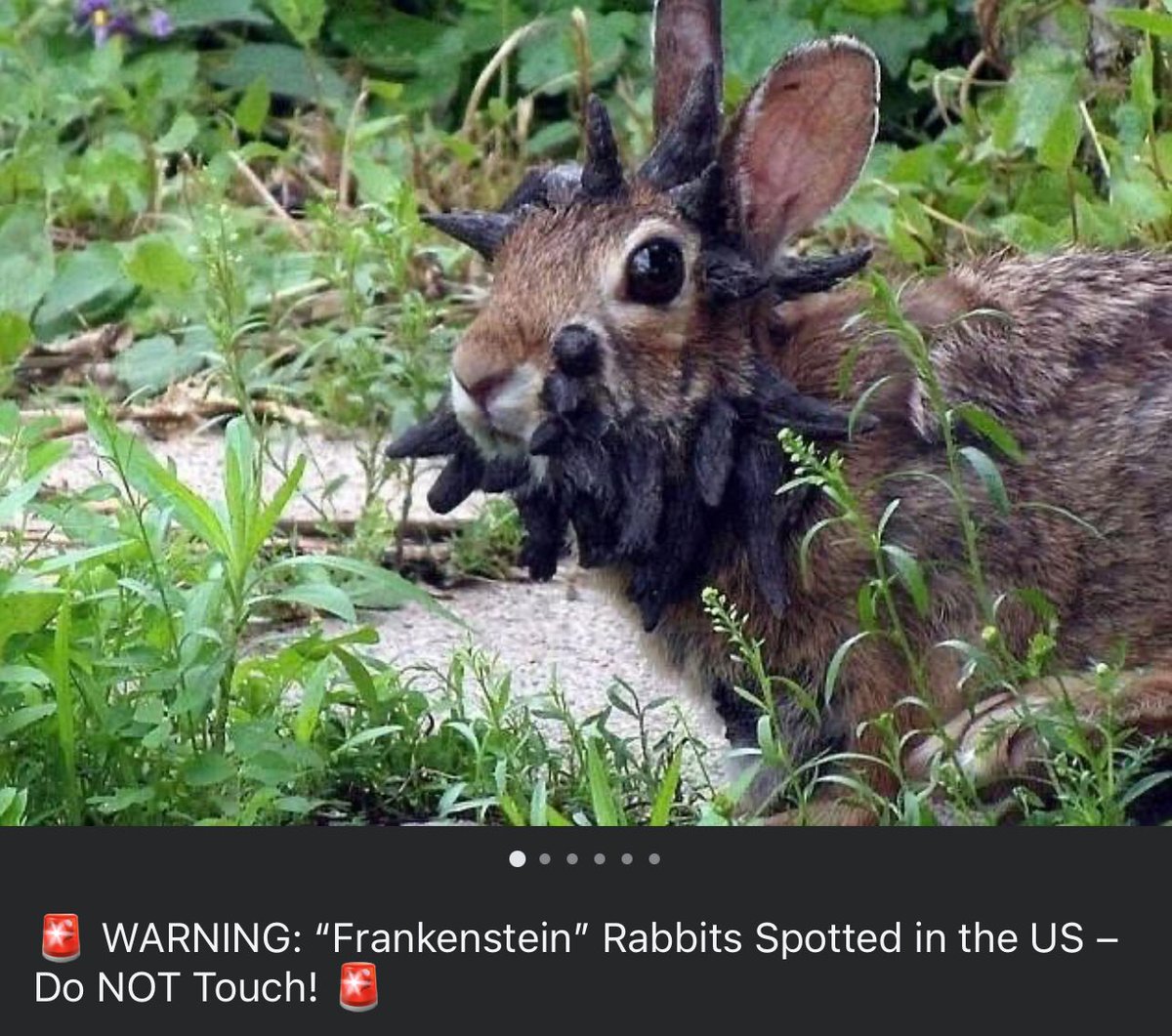 SenatorSol's tweet image. I believe the U.S. is the target of state-sponsored biological terrorism to destabilize the environment and destroy our food supply.

Do you think this is all just random coincidence? 

No, they are trying to eliminate America’s ability to wage war before the first shot is ever…