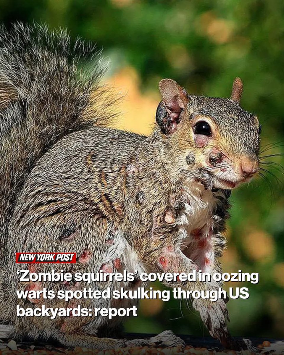 SenatorSol's tweet image. I believe the U.S. is the target of state-sponsored biological terrorism to destabilize the environment and destroy our food supply.

Do you think this is all just random coincidence? 

No, they are trying to eliminate America’s ability to wage war before the first shot is ever…