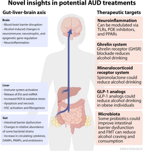 HEPATOLOGY Journal (@hep_journal) on Twitter photo Review Article 
New insights into the molecular basis of alcohol abstinence and relapse in alcohol-associated liver disease
Diaz et al.
#LiverX
tinyurl.com/3fz6mttd Review Article 
New insights into the molecular basis of alcohol abstinence and relapse in alcohol-associated liver disease
Diaz et al.
#LiverX
tinyurl.com/3fz6mttd