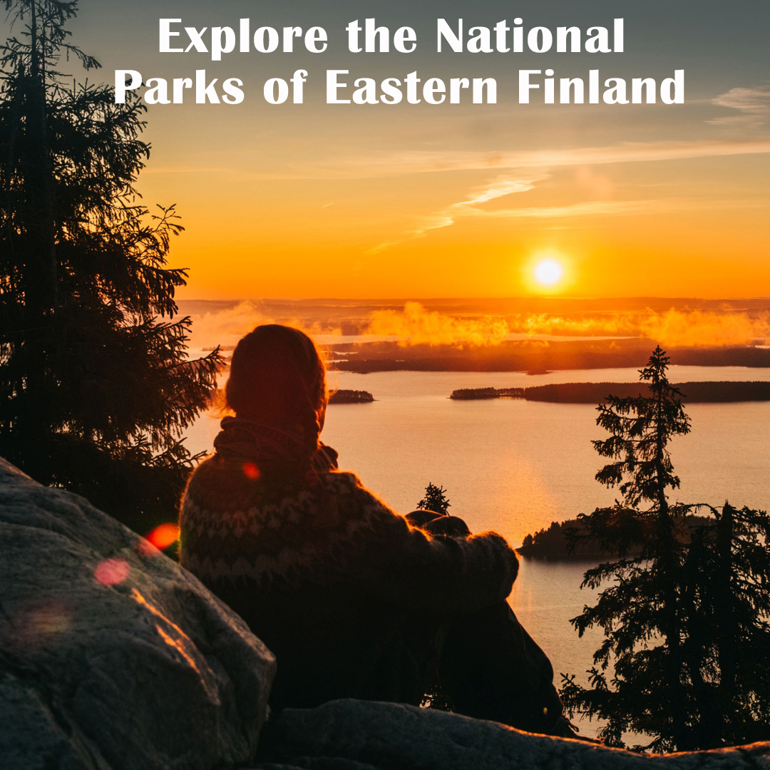 Explore the National Parks of Eastern Finland is available this autumn 🍂 Guided hikes from traditional guesthouse base with traditional Finnish hospitality, Karelian cuisine and, of course, sauna! 🥾

Remaining tour dates - 30.08-06.09.25, 20.09-27.09.25

naturetravels.co.uk/hiking-finland…