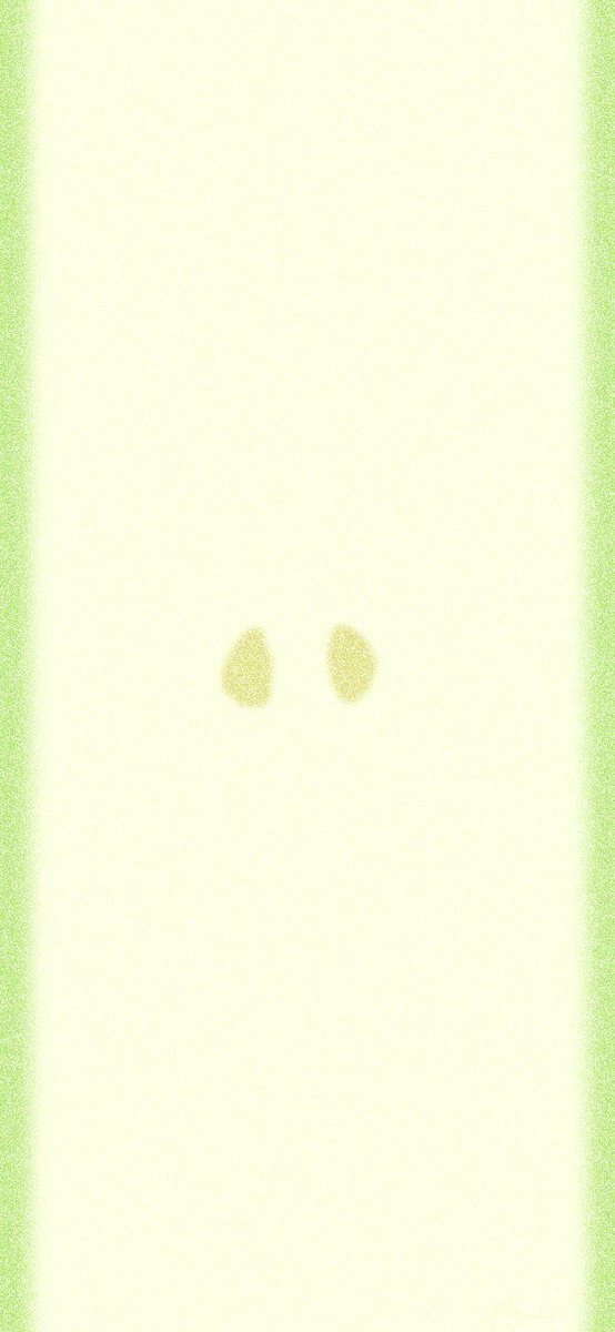 사과 배경화면 공유 ໒꒱₊⋆