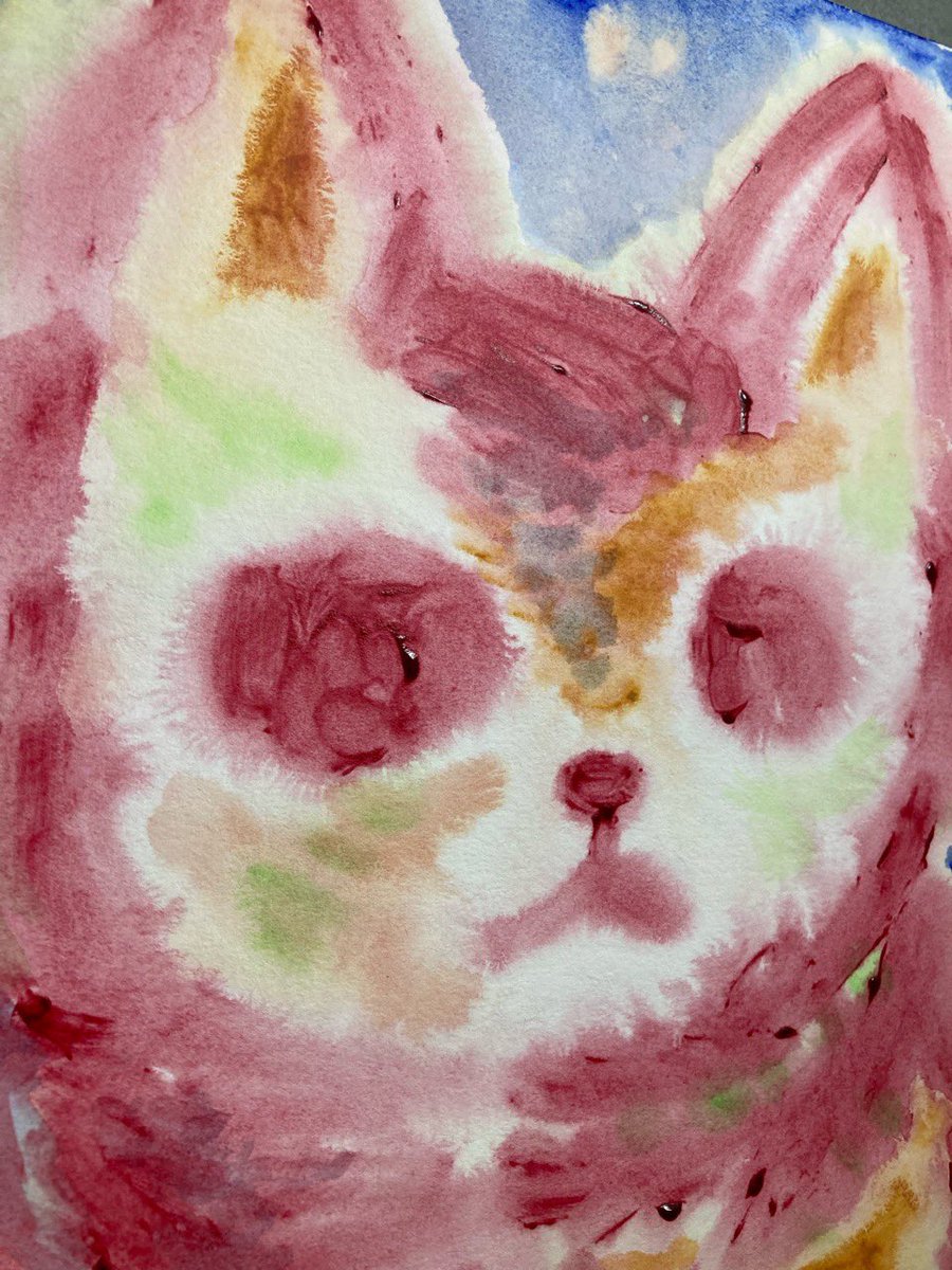 takinaly's tweet photo. These are  paintings of cats painted with acrylic paint on watercolor paper.
#originalArt #originalartwork #originalartpiece #originalartworks #FineArt #colorfulart #modernArt #catpainting #catart https://t.co/vqKC4eq5QD