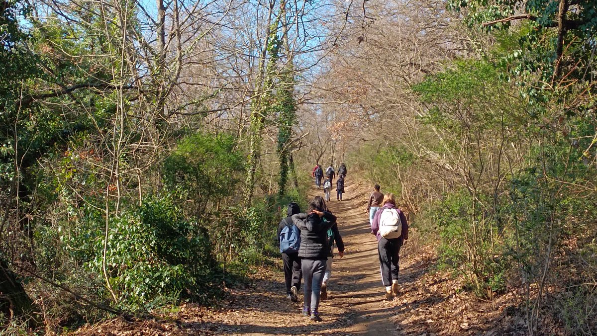 Ecoliteracy is building the capacity to understand, care for, and  transform our environments. Explore stories, reflections, and projects  that strengthen communities and invite ecological stewardship.
 navdanyainternational.org/category/news/…
#BiodiversityIsLife #Ecoliteracy #Community