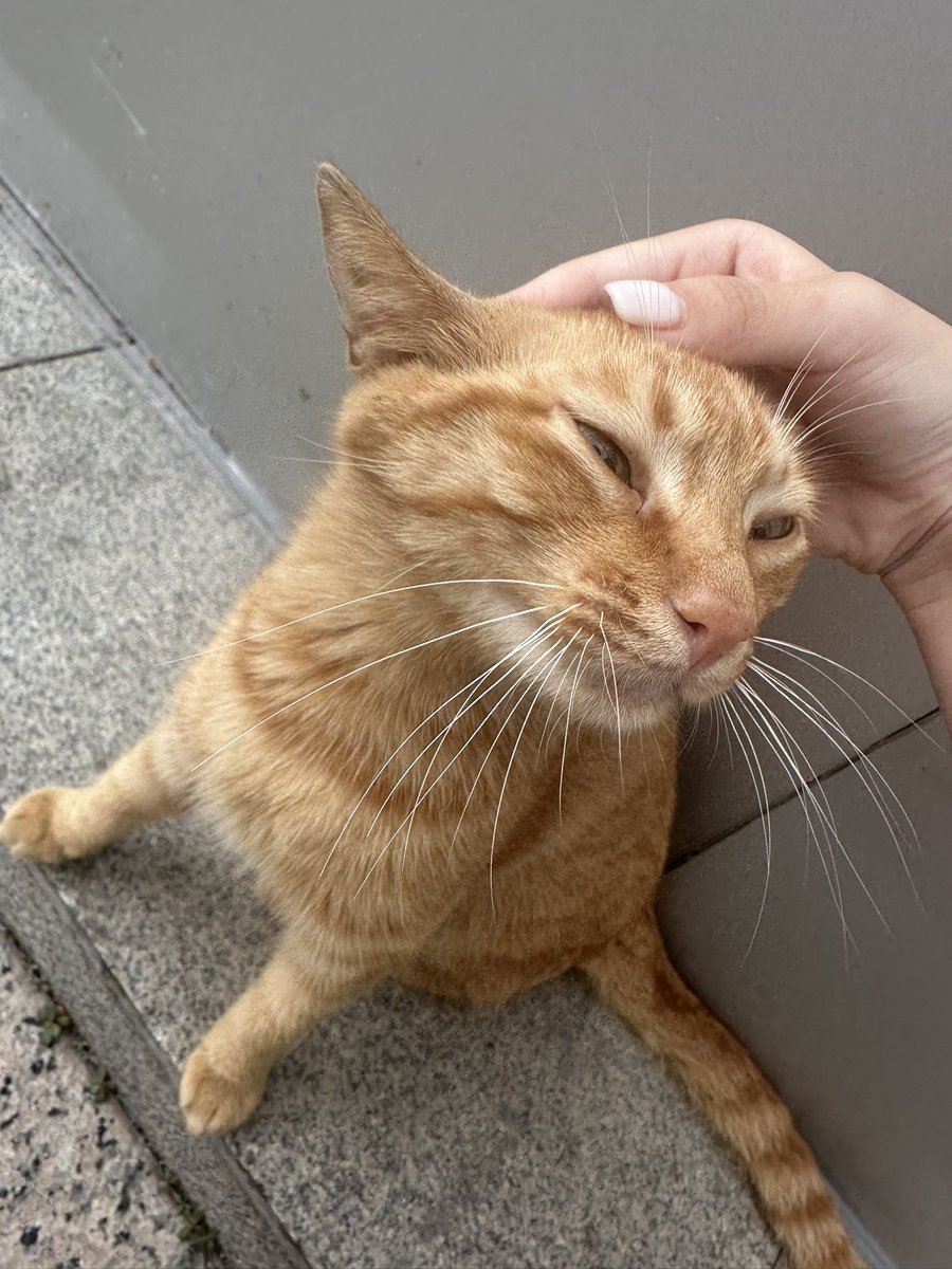 digimortal3's tweet image. 