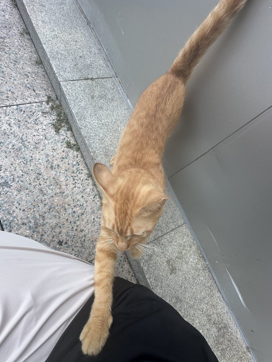 digimortal3's tweet image. 