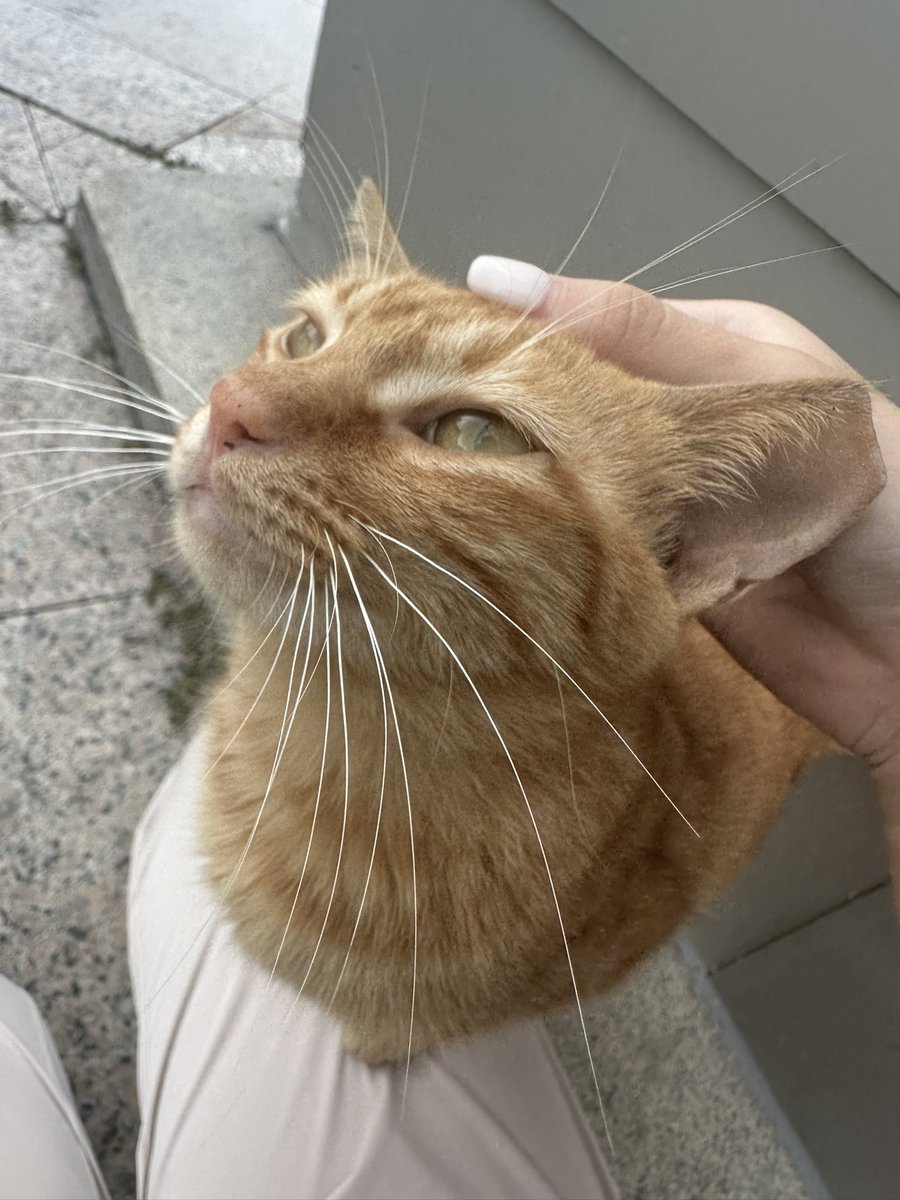 digimortal3's tweet image. 