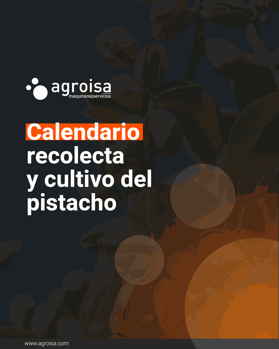 Agroisa SL | Maquinaria Oleícola tweet media