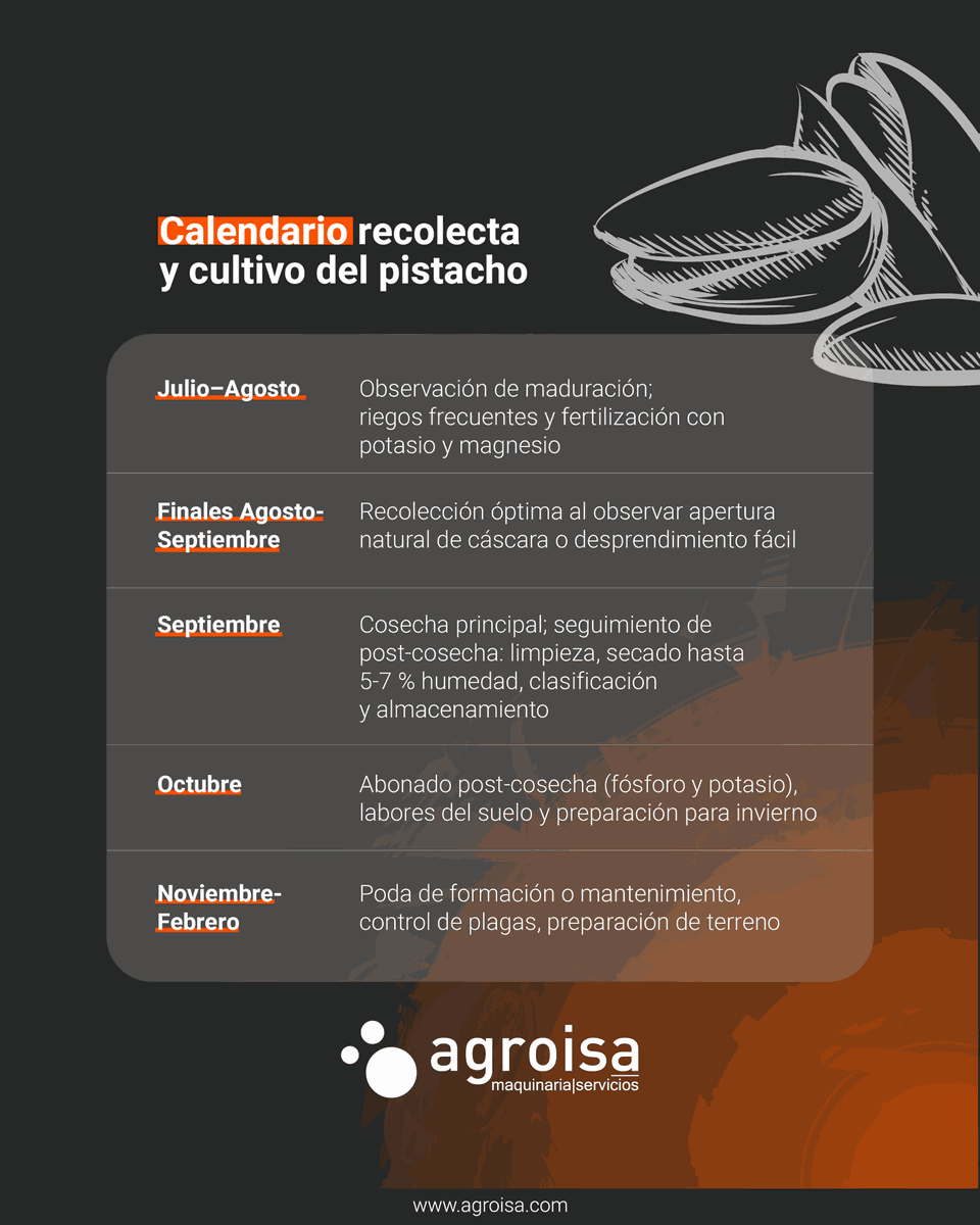 Agroisa SL | Maquinaria Oleícola tweet media