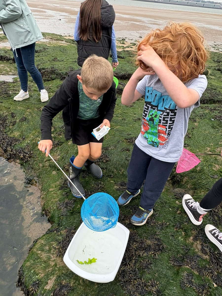 Community Heart tweet media