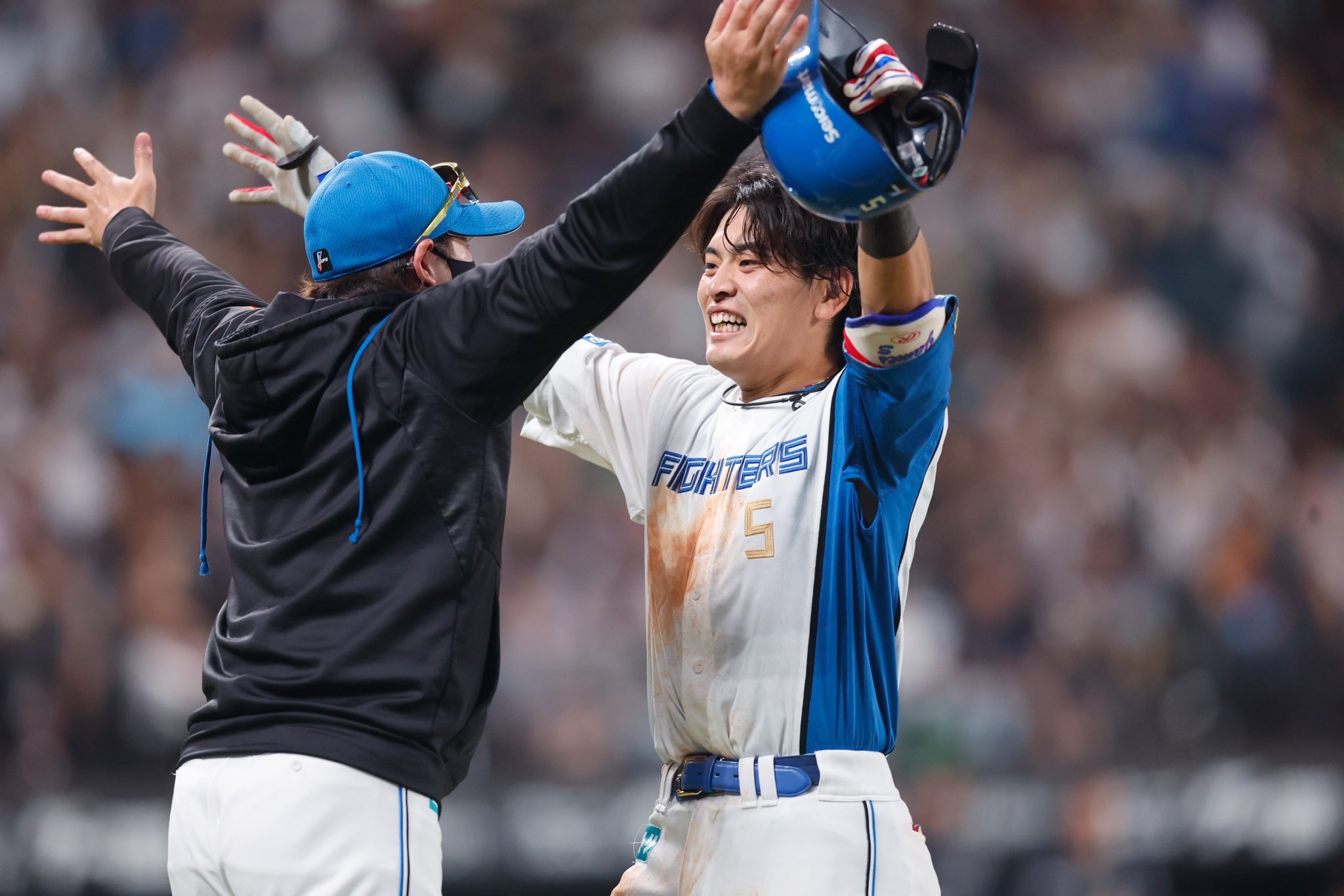 北海道日本ハムファイターズ公式 on X: 