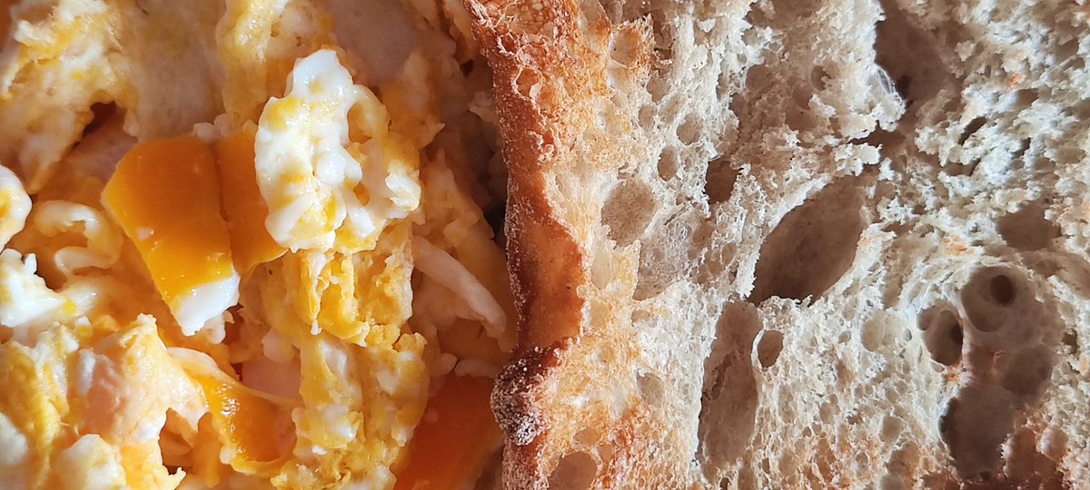 suntasuu's tweet image. 🥚🍞