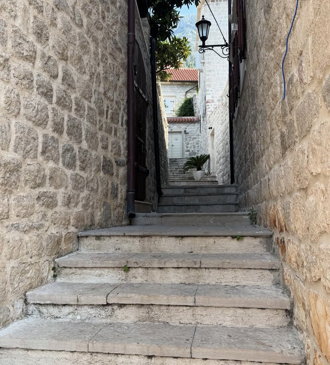 #perast