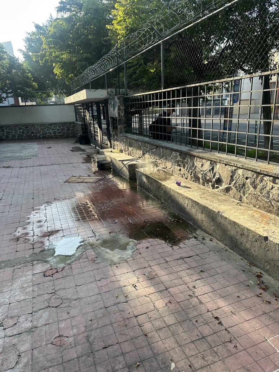 Wally_FV's tweet photo. Fuga de agua en casa abandonada en Av La Paz esquina Calderon de la Barca.
@siapagdl @GobiernoJalisco @PabloLemusN https://t.co/vJkHesGbSs