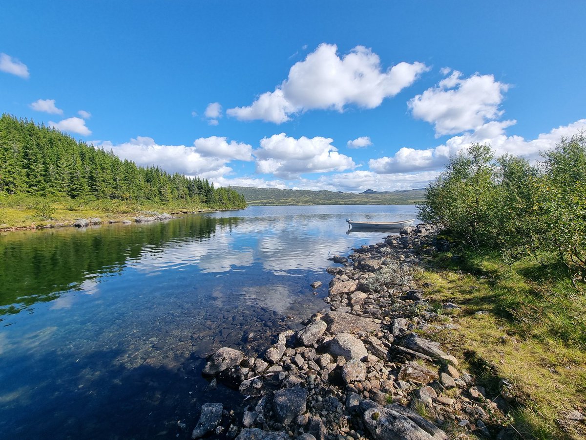 Came across an island! No <a href="/DayZ/">DayZ 🖥 🎮 ❤️</a> containers are to be found yet, will get the fire going soon to cook up some fish! If they bite, that is!