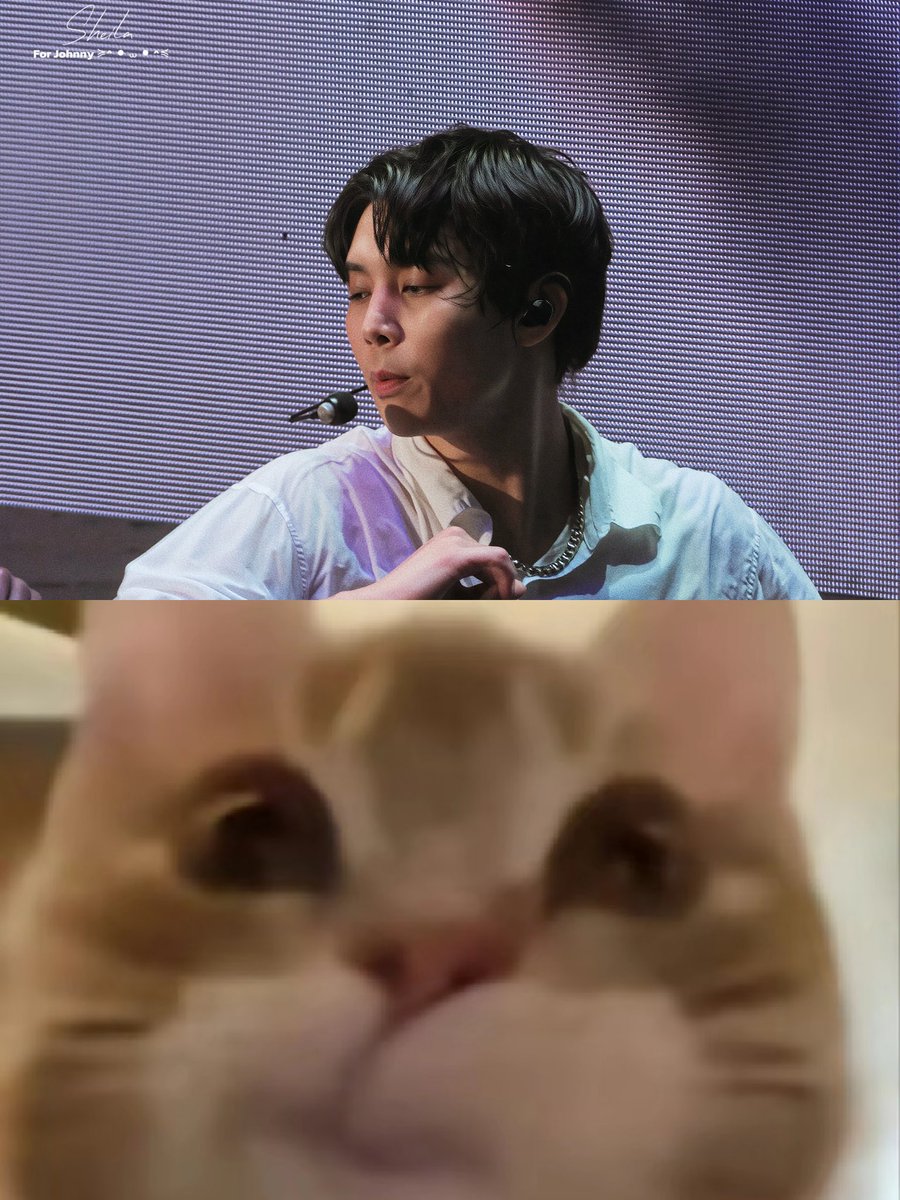 ≽^ ⦁ ⩊ ⦁ ^≼ ૮・ᴥ・ა tweet media