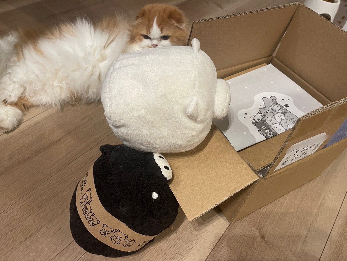 MonokuroBoo_bot's tweet photo. Bo!?
#monokuroboo https://t.co/GC0vheIrRj