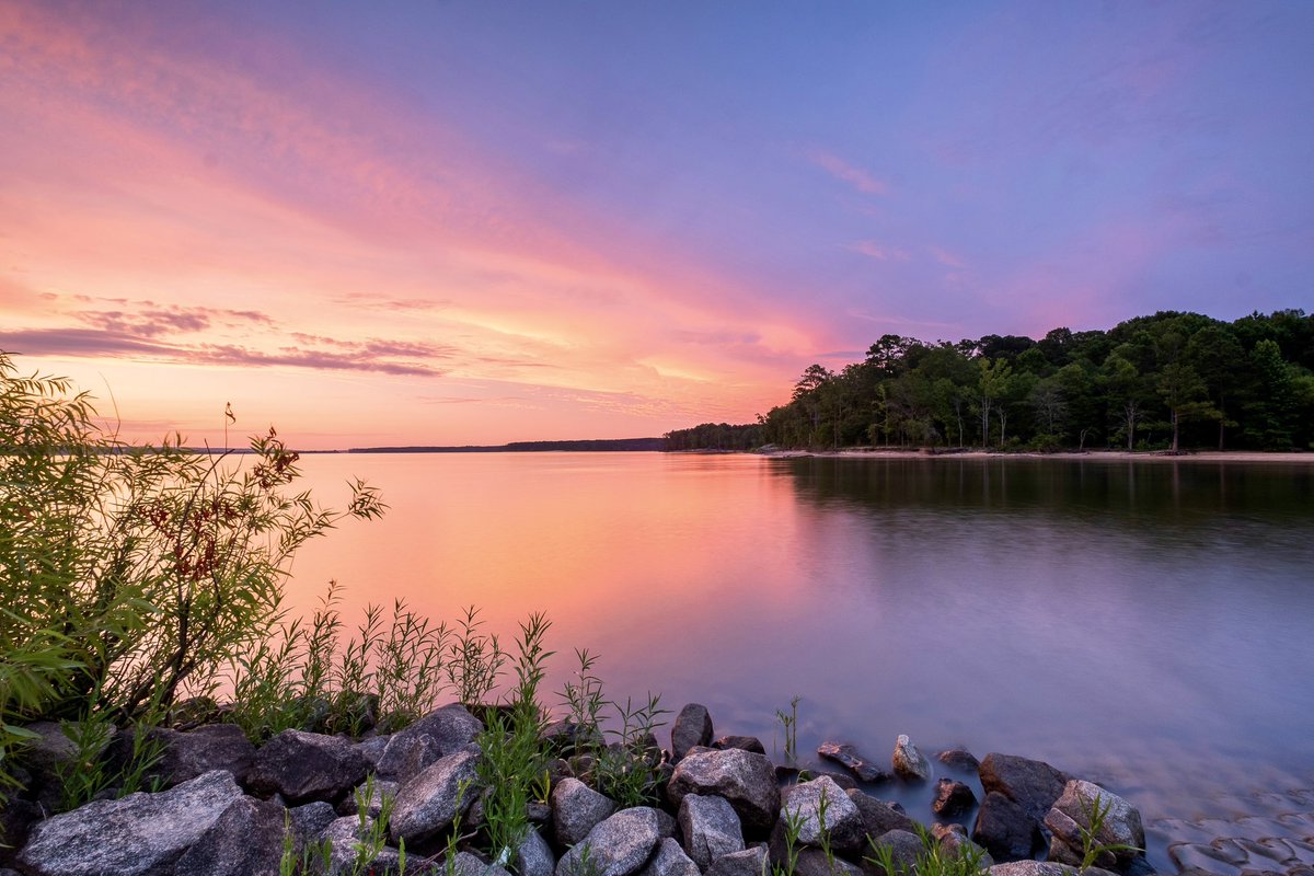 Southern Scenery tweet media