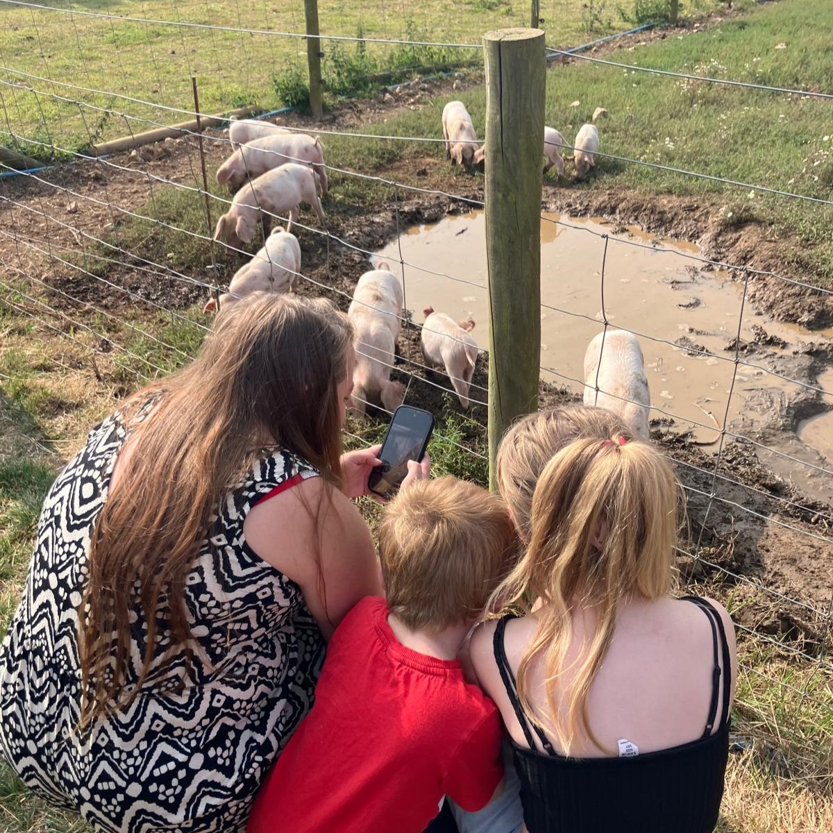 Trelya (@trelyacornwall) on Twitter photo A great day at <a href="/trevaskisfarm/">Trevaskis Farm</a> picking fruit and visiting the animals with our Gul Cafe & Gul Skills families!🍓
We ate at their cafe and learned about menu design, seasonality, food plating and service in a new setting.
<a href="/CIOSGoodGrowth/">CIOS Good Growth Fund</a> #UKSPF #CIOSGoodGrowth #GulCafe #GulSkills A great day at <a href="/trevaskisfarm/">Trevaskis Farm</a> picking fruit and visiting the animals with our Gul Cafe & Gul Skills families!🍓
We ate at their cafe and learned about menu design, seasonality, food plating and service in a new setting.
<a href="/CIOSGoodGrowth/">CIOS Good Growth Fund</a> #UKSPF #CIOSGoodGrowth #GulCafe #GulSkills