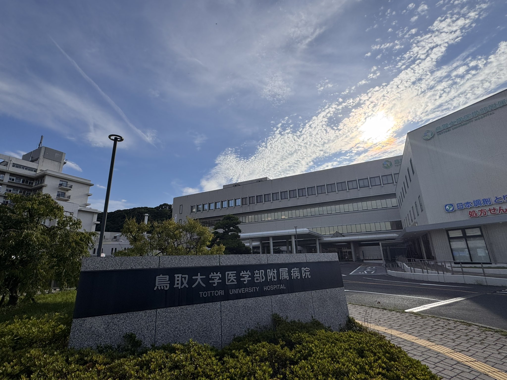 健康・医学 mei 日本MEISHOKU明色C vita维C滋润美肌美容液30g - TESOLIFE特搜商城