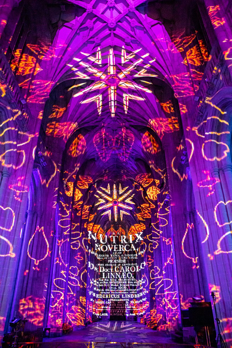 2021 Visual Arts (@2021visualarts) on Twitter photo ✨ Opening Event – SCIENCE by Luxmuralis <a href="/luxmuralis/">luxmuralis</a> ✨
Be the first to experience an awe-inspiring light & sound show in our newly reopened church space.
📅 Fri 22 Aug | 🕖 7–9pm | 💷 Free no booking required | ☕ Refreshments
Don’t miss it! #ExhibitionPreview #Scunthorpe ✨ Opening Event – SCIENCE by Luxmuralis <a href="/luxmuralis/">luxmuralis</a> ✨
Be the first to experience an awe-inspiring light & sound show in our newly reopened church space.
📅 Fri 22 Aug | 🕖 7–9pm | 💷 Free no booking required | ☕ Refreshments
Don’t miss it! #ExhibitionPreview #Scunthorpe