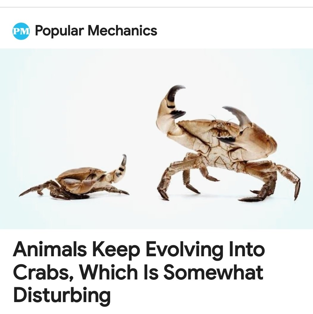 DocsSports914's tweet image. Are we next?