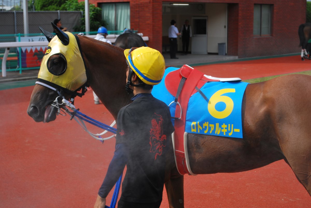 blackstar26er's tweet photo. R7.8.17　佐賀競馬場② https://t.co/sJCo0SGCi4