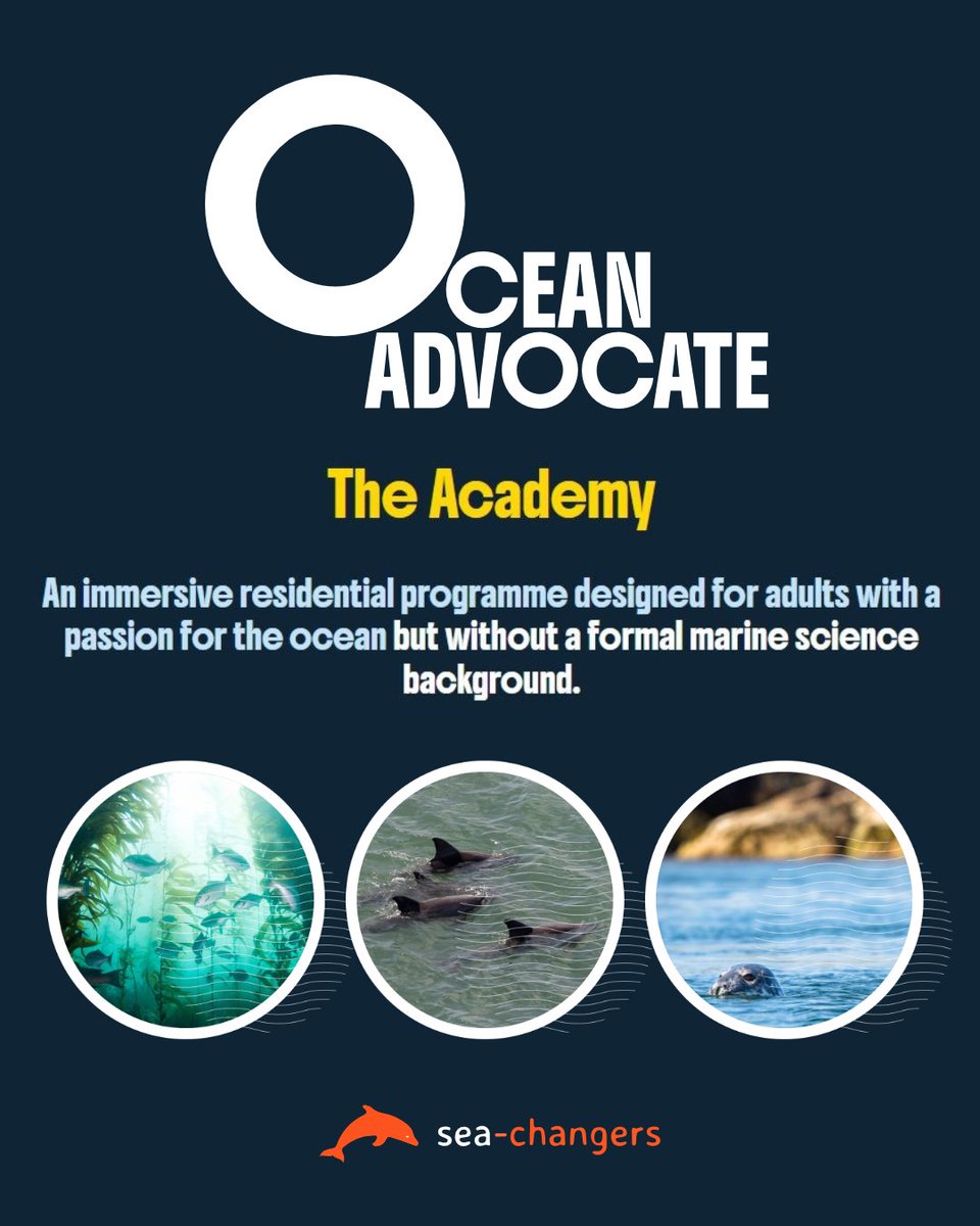 🌊 Passionate about the ocean, but don’t have a marine science background? This could be the opportunity you’ve been waiting for!

🔗 Learn more and apply by the end of August: ocean-advocate.org/the-academy/

#OceanAdvocateAcademy #SeaChangers #OceanAdvocacy #MarineEngagement