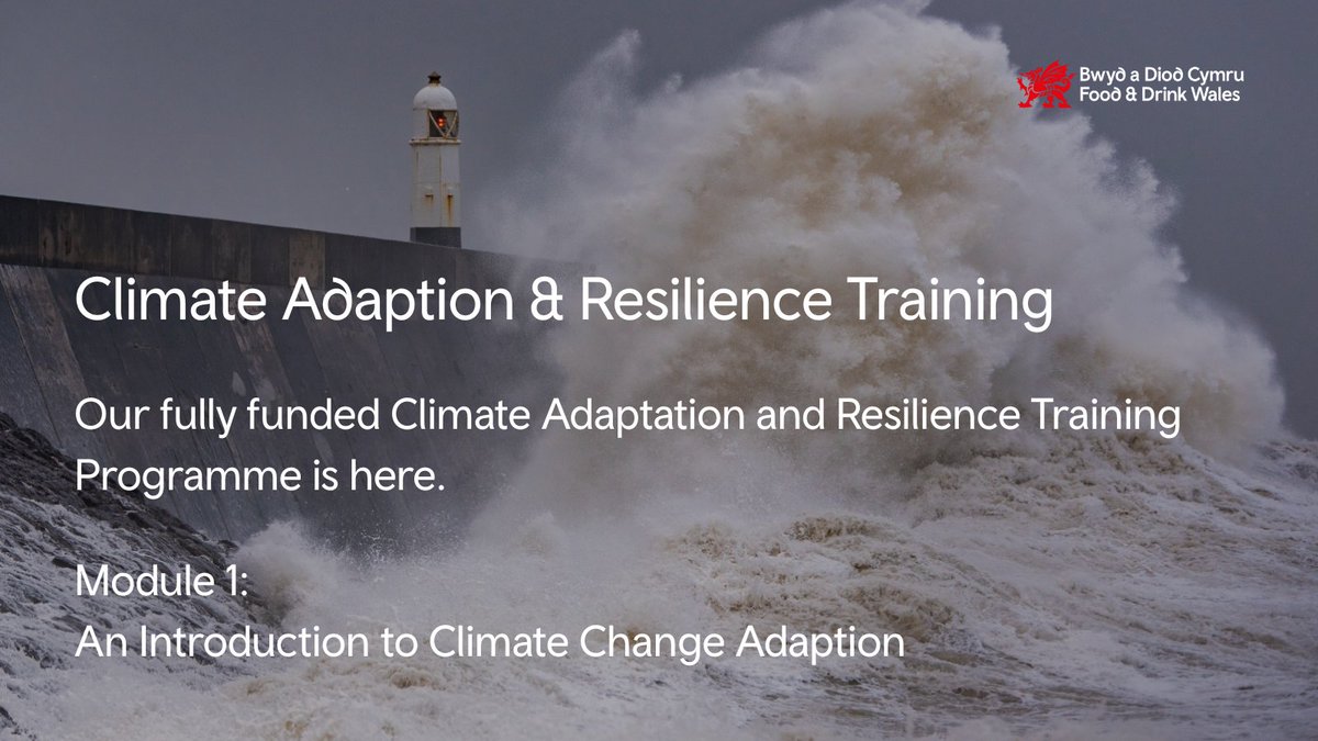 Wales is heating up.

By 2050:
🌡️ +1.34°C summers
🌧️ +5% winter rain
☀️ -16% summer rain
🌊 +24cm sea level rise

Food &amp; drink businesses: Can you withstand supply chain shocks, droughts &amp; floods?

👉 Free training: bwyd.food@bic-innovation.com

#ClimateReady