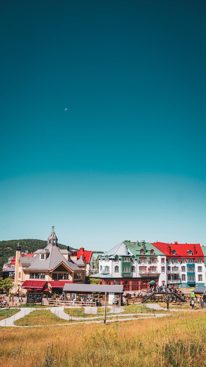 Canada Vibes Part 2. 🇨🇦🍁