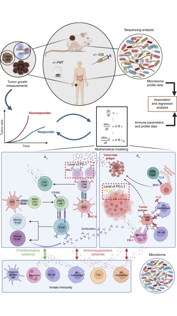 Cancer Research (@cr_aacr) on Twitter photo New in the August 15 issue from the Cancer Research special series: #MathematicalModeling and Association Analysis Decipher the Impact of the #GutMicrobiome on #CancerImmunotherapy brnw.ch/21wV1Wc
<a href="/TriantafyllosS4/">Triantafyllos Stylianopoulos</a> <a href="/UCYOfficial/">University of Cyprus</a> <a href="/MGHSteeleLabs/">Edwin L. Steele Laboratories</a> <a href="/MDAndersonNews/">MD Anderson Cancer Center</a> #OpenAccess New in the August 15 issue from the Cancer Research special series: #MathematicalModeling and Association Analysis Decipher the Impact of the #GutMicrobiome on #CancerImmunotherapy brnw.ch/21wV1Wc
<a href="/TriantafyllosS4/">Triantafyllos Stylianopoulos</a> <a href="/UCYOfficial/">University of Cyprus</a> <a href="/MGHSteeleLabs/">Edwin L. Steele Laboratories</a> <a href="/MDAndersonNews/">MD Anderson Cancer Center</a> #OpenAccess