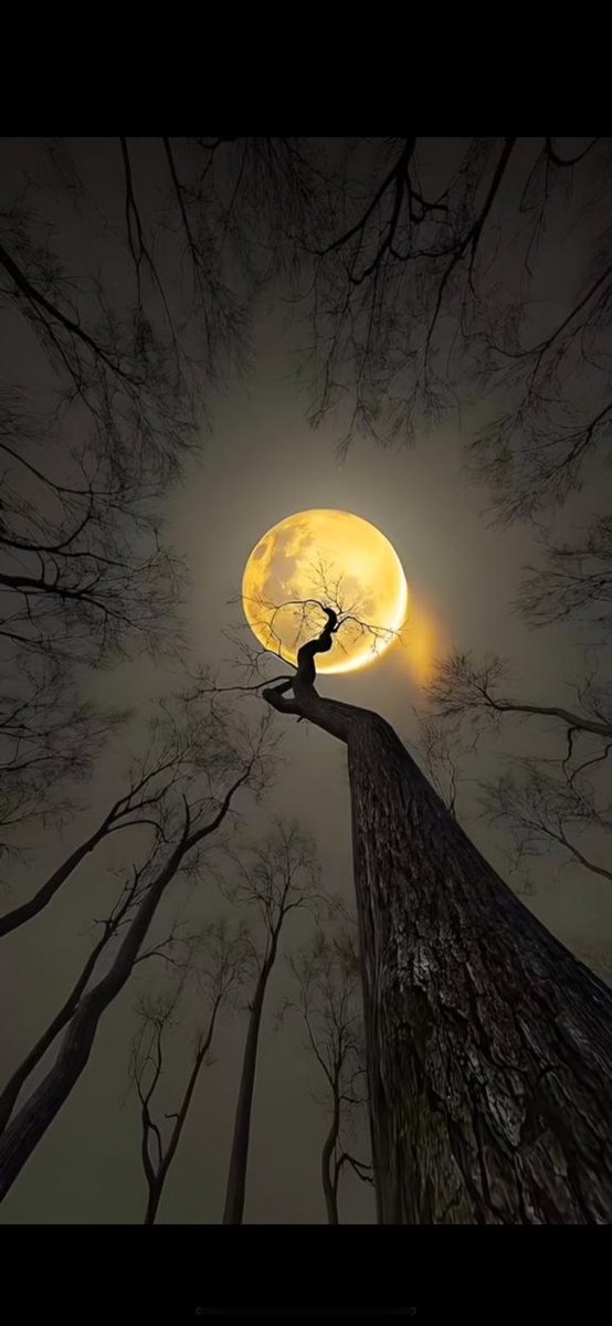 📖﴿وماتسقط من ورقة إلا يعلمها﴾
🔹فكيف بدمع بعينك .!
🔸أو حزن قد إستوطن قلبك.!
🔹أو هم قض عليك مضعجك وأقلقك !.

☝🏼الله يعلم مابك وسيرفع عنك ما يؤلمك فقط تفائل 🤲
وأعلم أن الله لن يخذلك
.
.
.
.
.