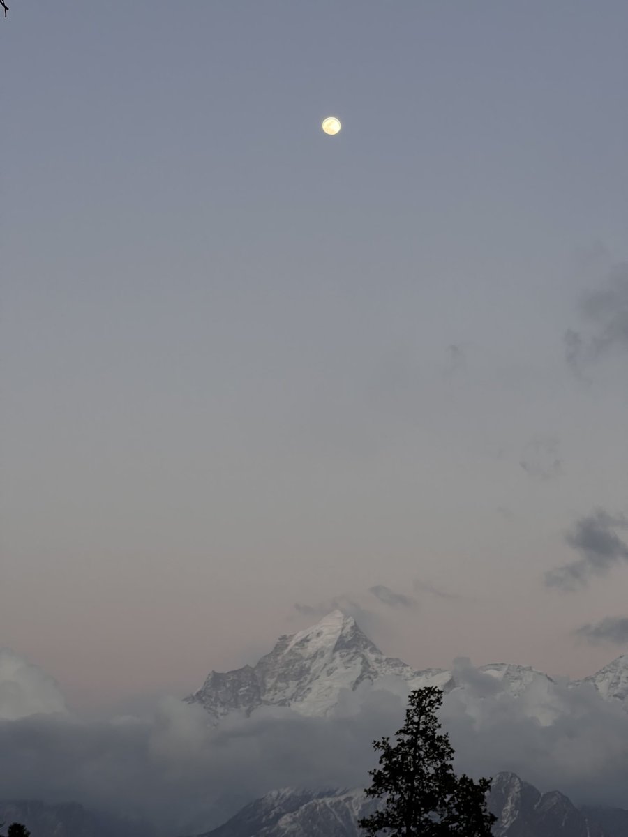 TheAstuteReader (@theastutereader) on Twitter photo Happy world photography day! Happy world photography day!