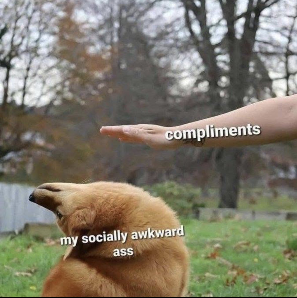 ADHD Memes (@adhdforreal) on Twitter photo 