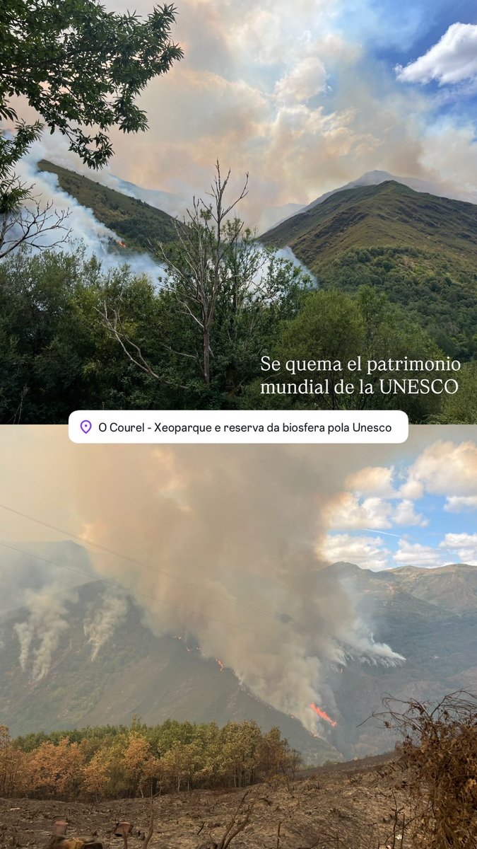 Esta es la situación ahora mismo en el Parque Natural do Courel. La biodiversidad aquí es una herencia milenaria que se borrará para siempre, al menos, en parte.
