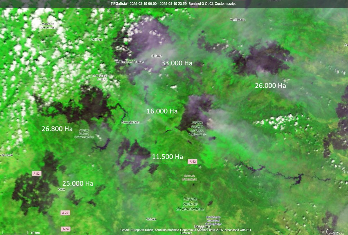 Imagen del #Sentinel3 de <a href="/CopernicusEMS/">Copernicus EMS</a> de hoy dia 19 de Agosto de los #IFOurense y colindantes
Se ha realizado un perimetrado de cada uno de ellos para poder estimar la superficie afectada
En total en este area hay afectadas 130.000 Ha

Image from <a href="/CopernicusEU/">Copernicus EU</a> 's #Sentinel3