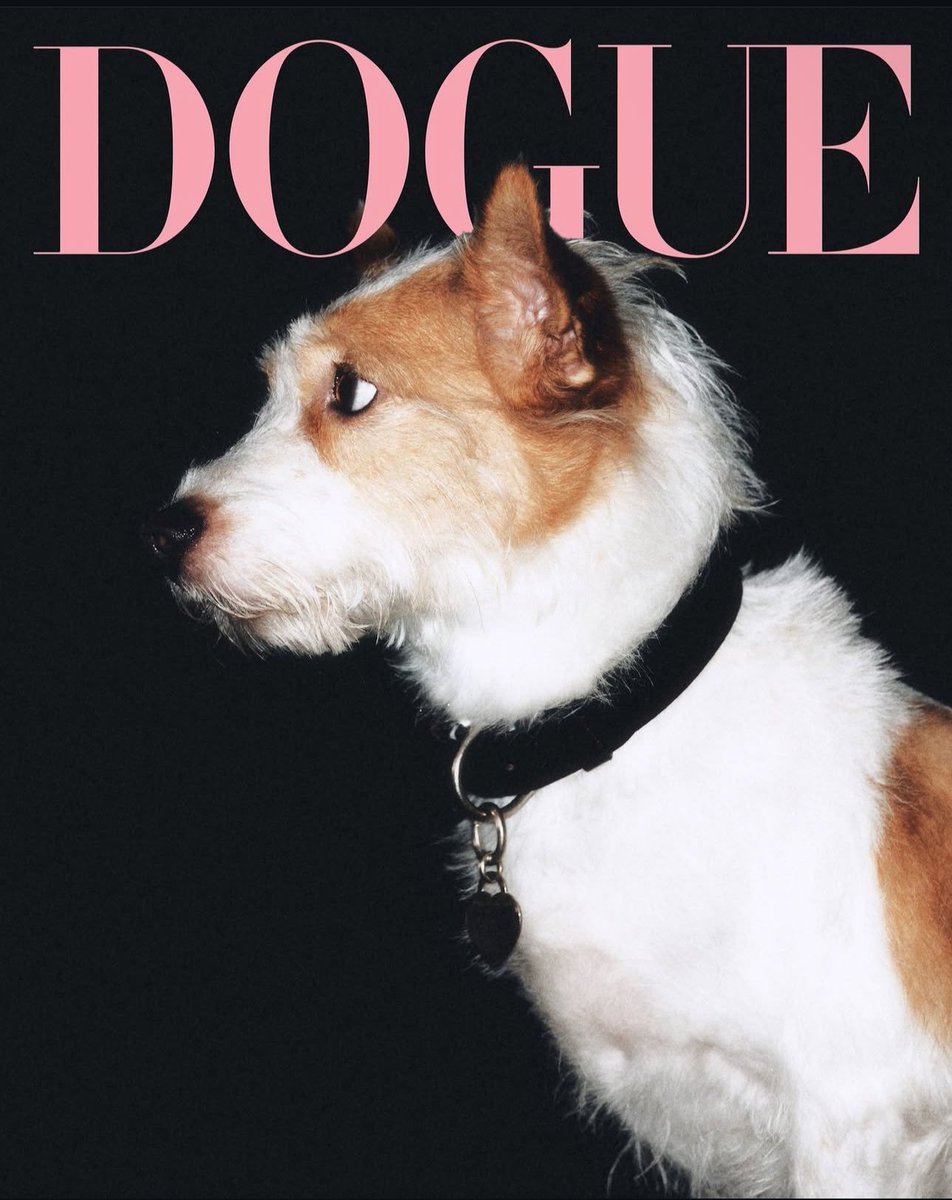 Hank and Roscoe on the cover of DOGUE