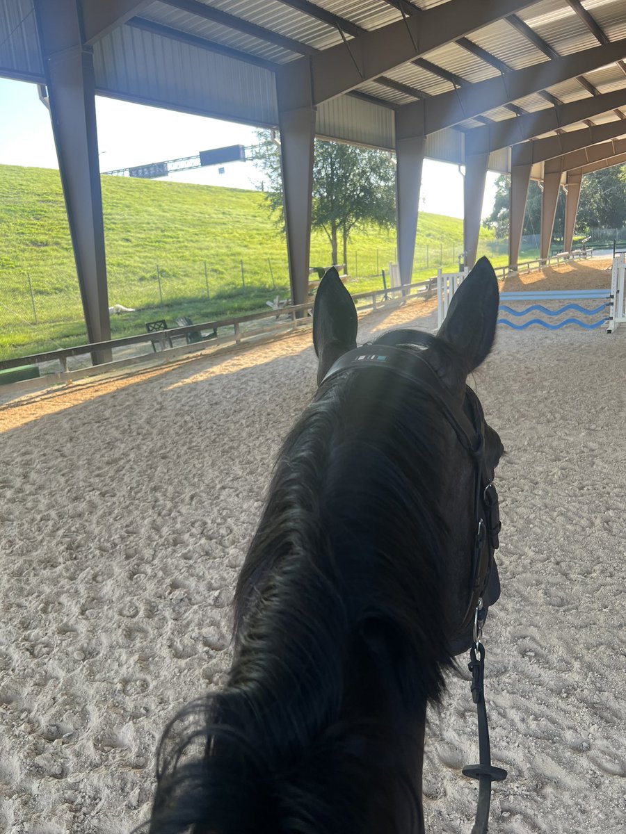 Good morning, from my favorite view 😻