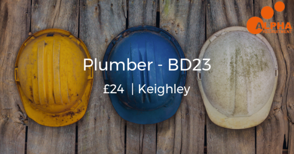 Alpha Recruitment UK 🇬🇧 tweet media