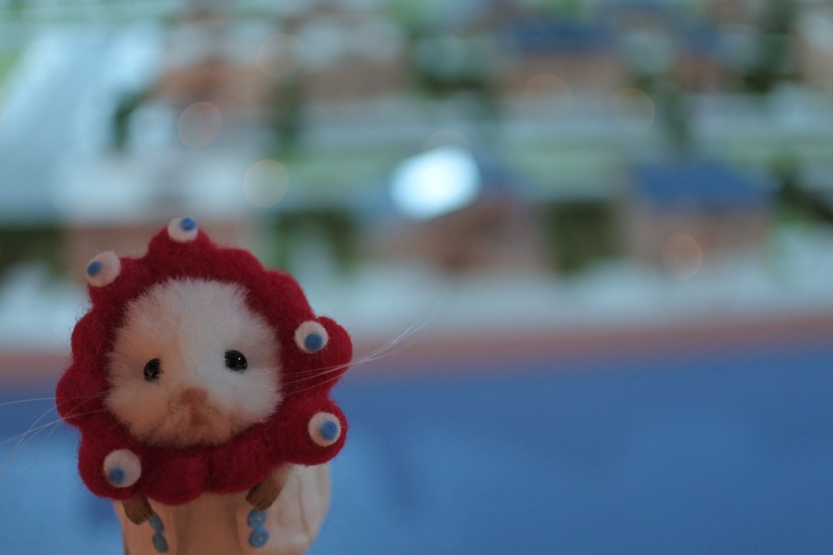 ましゅまる@プロフィール必読 ましゅまる (@shiromaro_963) / X